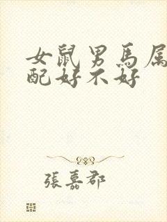 女鼠男马属相婚配好不好