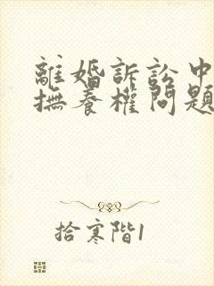 离婚诉讼中孩子抚养权问题