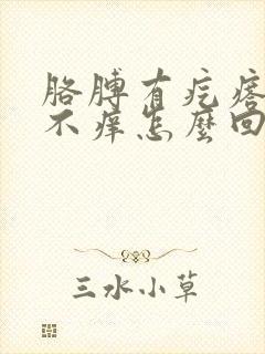 胳膊有疙瘩不疼不痒怎么回事