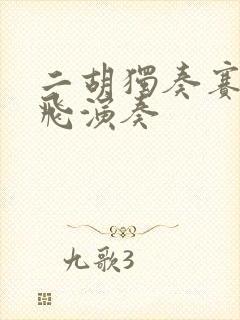 二胡独奏赛马宋飞演奏