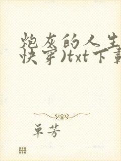 炮灰的人生2(快穿)txt下载