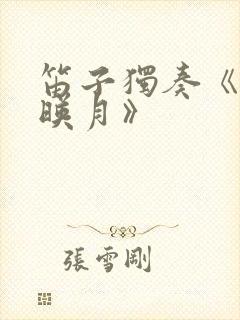 笛子独奏《二泉映月》封面