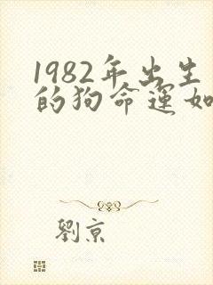 1982年出生的狗命运如何