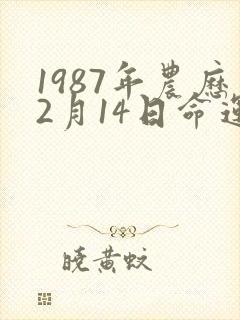 1987年农历2月14日命运女