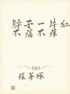 脖子一片红疙瘩不痛不痒