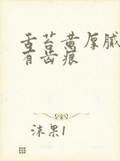 舌苔黄厚腻两侧有齿痕