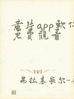 黄片app软件免费观看