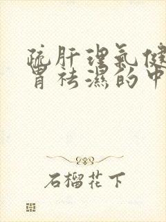 疏肝理气健脾和胃祛湿的中成药有哪些封面