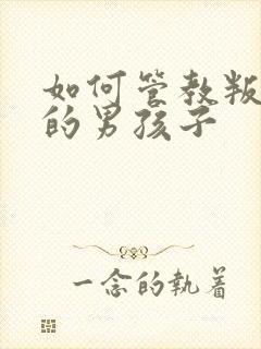 如何管教叛逆期的男孩子