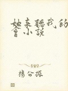 她来听我的演唱会小说