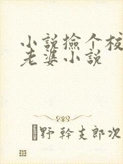 小说捡个校花做老婆小说