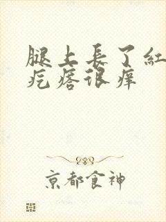 腿上长了红色的疙瘩很痒