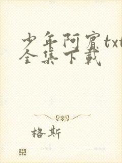少年阿宾txt全集下载