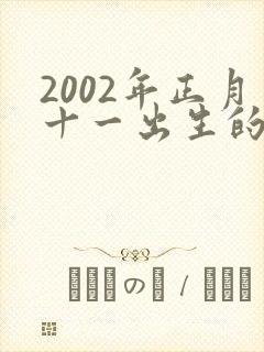 2002年正月十一出生的男孩命运