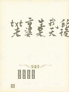 txt重生我的老婆是天后下载