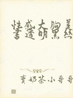 性感大胸美女秘书透明黑丝