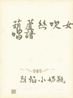 葫芦丝吹女儿情唱谱