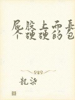 屁股上面长了一个硬硬的包怎么治疗