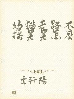 幼猫走路不稳摇摇晃晃怎么回事封面