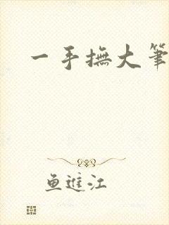 一手抚大笔趣阁封面