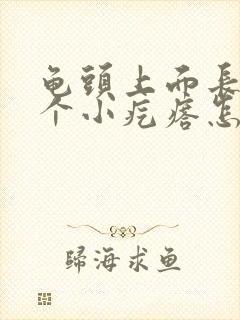 龟头上面长了一个小疙瘩怎么回事