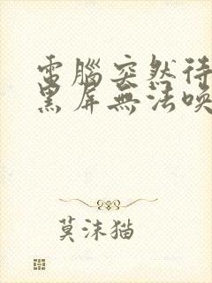 电脑突然待机后黑屏无法唤醒怎么办