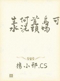 生何首乌可以煮水洗头吗