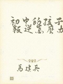 初中的孩子厌学 叛逆怎么办封面