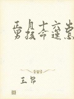 正月十六出生的男孩命运怎么样