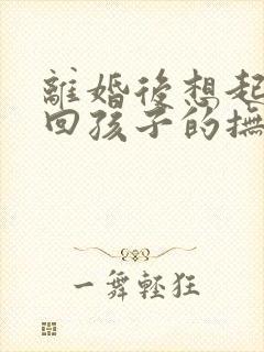 离婚后想起诉要回孩子的抚养权