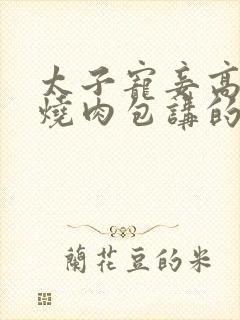 太子宠妾高肉红烧肉包讲的什么