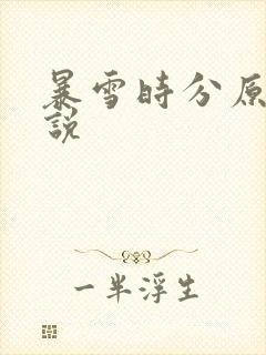 暴雪时分原著小说