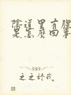 阴道里有腥臭味是怎么回事