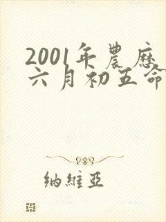 2001年农历六月初五命运怎样