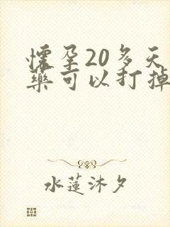 怀孕20多天吃药可以打掉吗封面