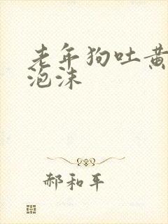 老年狗吐黄水带泡沫