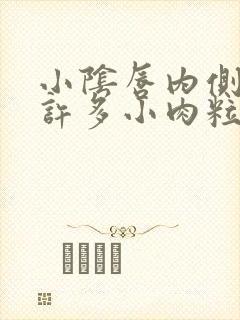 小阴唇内侧长了许多小肉粒