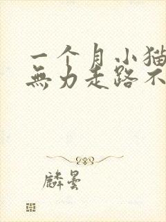 一个月小猫后腿无力走路不稳封面