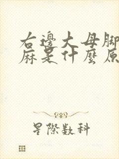 右边大母脚趾头麻是什么原因