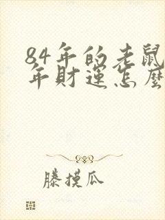 84年的老鼠今年财运怎么样封面