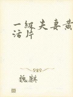 一级夫妻黄色生活片