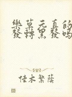 乐草元真的能白发转黑发吗