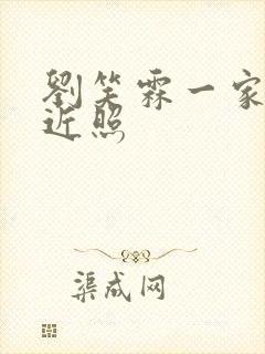 刘笑霖一家三口近照封面