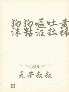 狗狗呕吐黄水泡沫粘液拉稀没精神