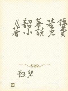 《韶华若锦》原著小说免费阅读封面