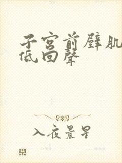 子宫前壁肌壁间低回声