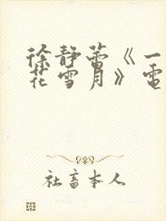 徐静蕾《一场风花雪月》电视剧免费