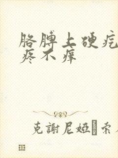 胳膊上硬疙瘩不疼不痒封面