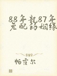 88年龙87年兔配的姻缘怎么样