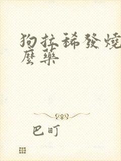 狗拉稀发烧用什么药